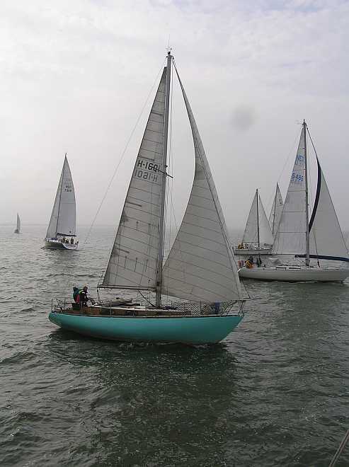 Ze kwamen in alle kleuren